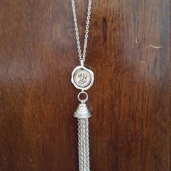 Stainless Steel Tassel Necklace - Picture 1 of 5